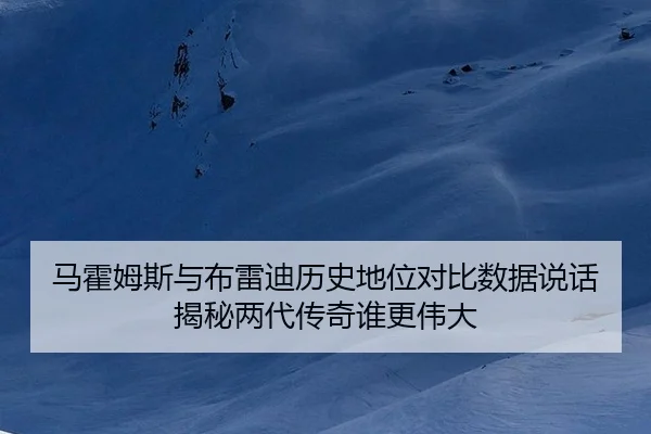 马霍姆斯与布雷迪历史地位对比数据说话揭秘两代传奇谁更伟大