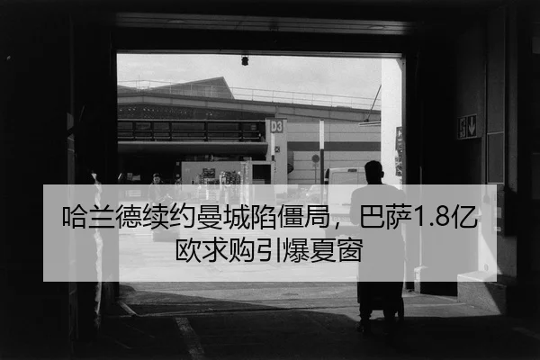 ha-lan-de-xu-yue-man-cheng-xian-jiang-ju-ba-sa-yi-ou-qiu-gou-yin-bao-xia-chuang-2-479.jpg